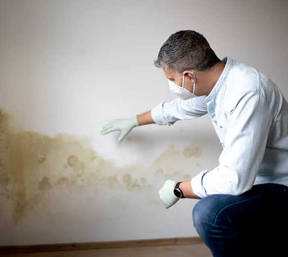 Mold Removal Service in North Las Vegas, MO